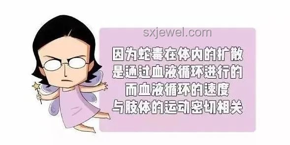 被蛇咬后自救全攻略🐍冷静应对是关键